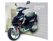 2008 Adly Silver Fox 100 photo